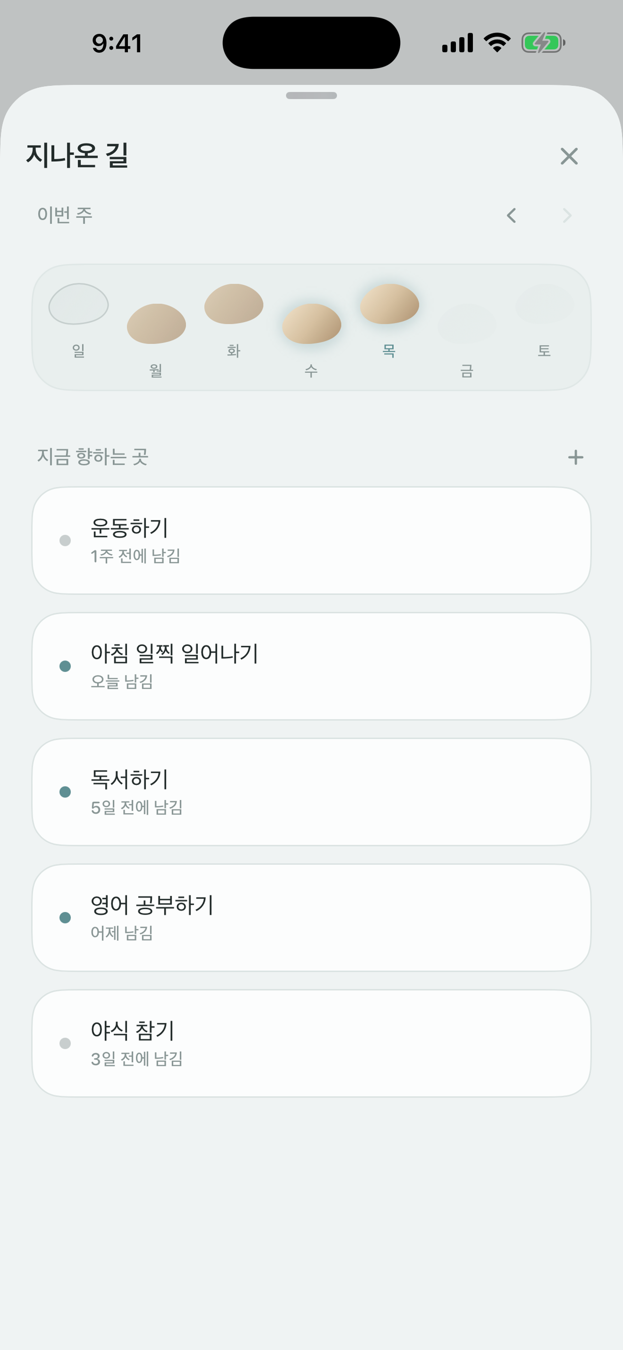 한 주가 징검다리로 놓인 지나온 길